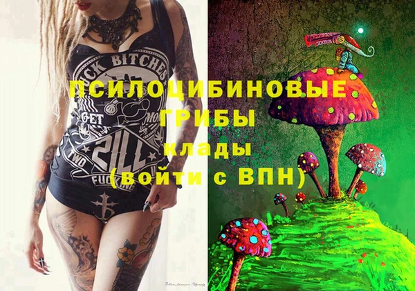 спиды Вяземский