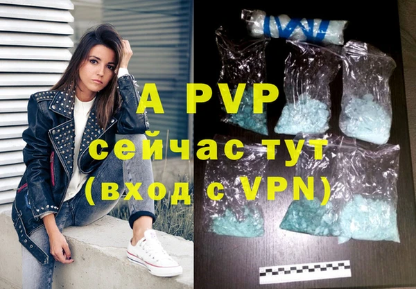 ПСИЛОЦИБИНОВЫЕ ГРИБЫ Вязники